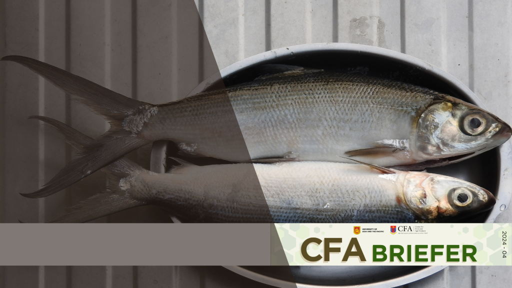 CFA Briefer Milkfish industry in the Philippines