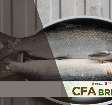 CFA Briefer Milkfish industry in the Philippines