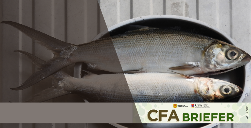 CFA Briefer Milkfish industry in the Philippines