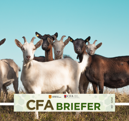CFA Briefer Goat Industry