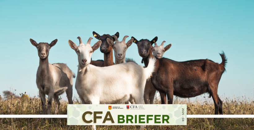 CFA Briefer Goat Industry